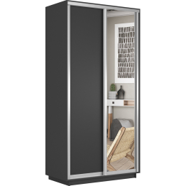 Шкаф-купе Экспресс Хит 2х дверный ДСП/Зеркало 120х60х220