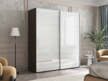 Шкаф-купе Эста Стекло белое+Стекло белое 200х66х240