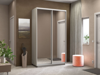 Шкаф-купе Экспресс Экспенс дуо 2200 x 1400 x 600