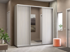 Шкафы-купе 3-х дверные, Шкаф-купе Экспресс Медиум (1 зеркало) трио 2400 x 2400 x 450