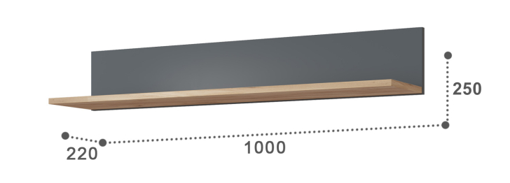 Полка Эмилия ЭЛ-10