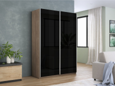 Шкафы-купе 2-х дверные, Шкаф-купе Прайм 2-х дверный Стекла черные/Доводчики 120х57х230