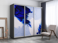 Шкафы-купе, Шкаф-купе Экспресс 1010, 180х45х240