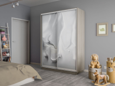 Шкафы-купе 2-х дверные, Шкаф-купе Экспресс 2-х дверный Фотопечать Шелк Стекла 160х60х240