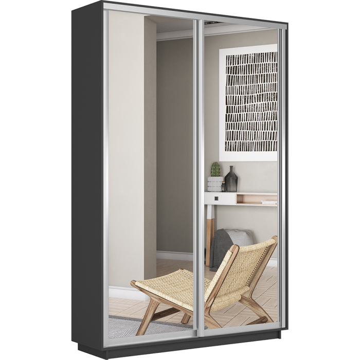 Шкафы-купе 2-х дверные, Шкаф-купе Экспресс Экспенс дуо 2200 x 1200 x 450